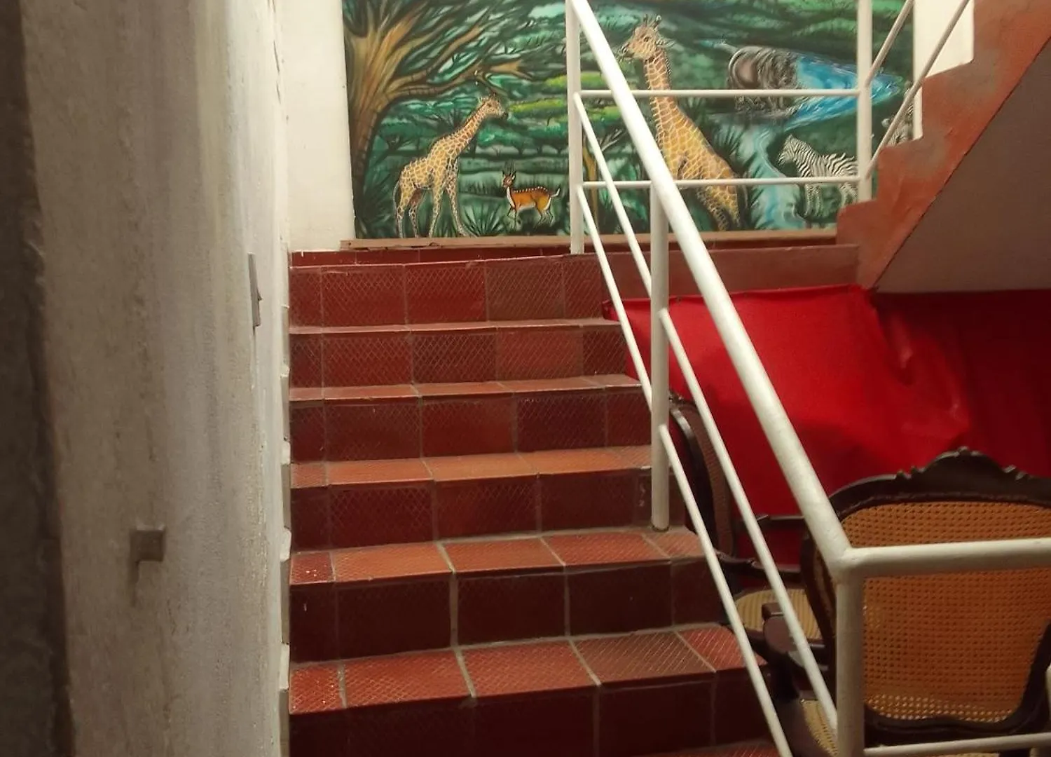Rooftop Hostal Crisanto Luque Hotel Cartagena Guest house