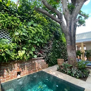  Hotel Casa Jaguar Boutique